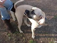 Chinese Sex Videos 276